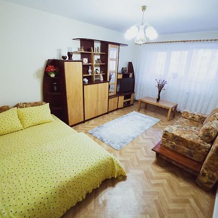 Apartament Slanic Prahova Apartment Bagian luar foto